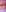luluspussycamFan-Club Exlcusiv照片 9