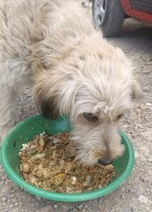 Boonny_boo_ Actions speak louder than good intentions. Pic 2