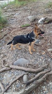 ChrisFloresP Public Pic 5