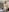 School_TeachのTurkie photos naked and in swimsuit 2024の 8枚の写真