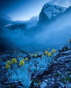 Kayser_hotboy my country _ mi país Pic 9