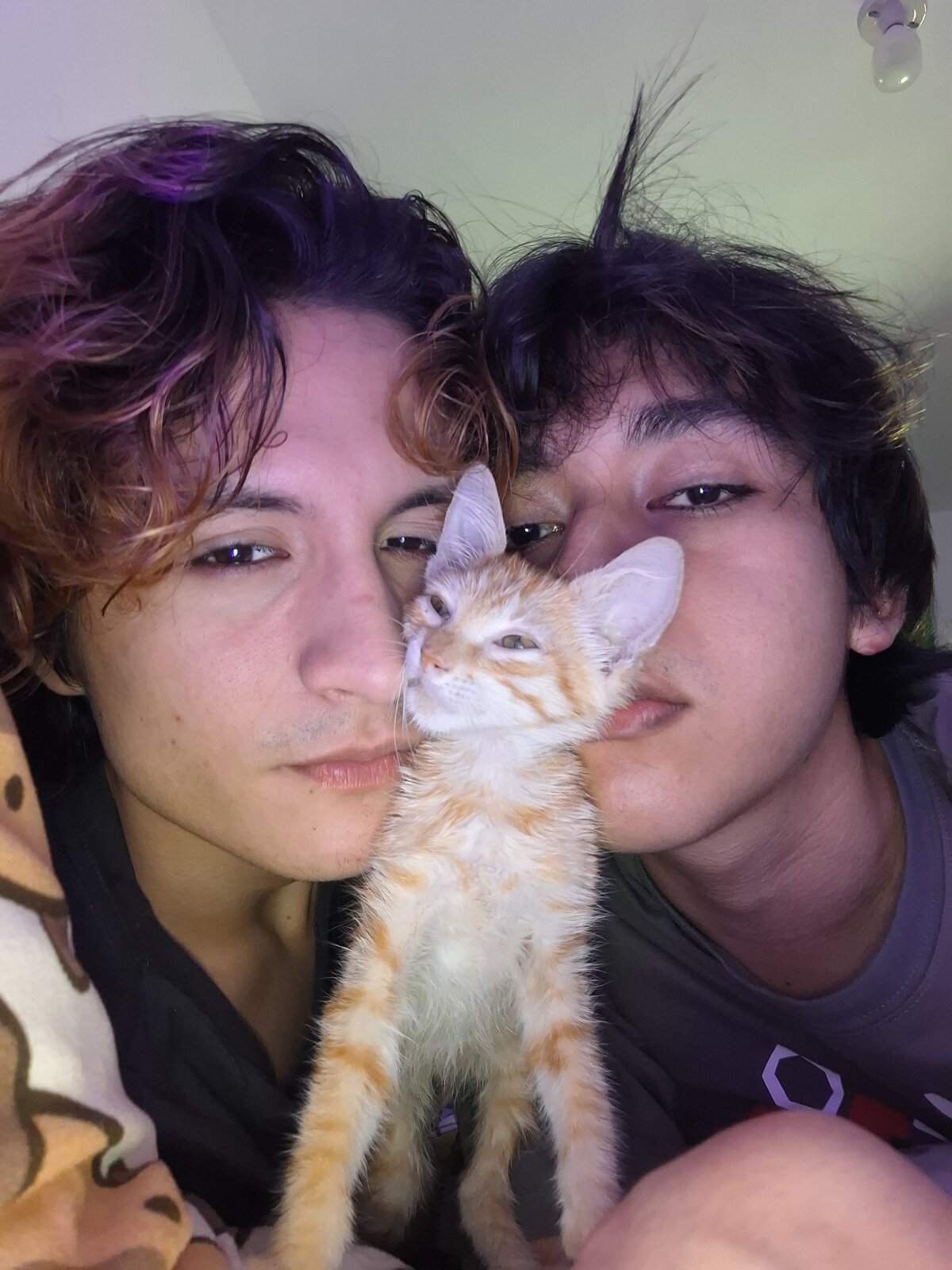 Darcy_and_Stolas immagine di tendenza 8258