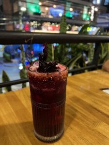 Rabbitum Public Pic 2