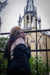 Java_fire Dracula's castle ❓ Pic 3