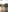 LanaSparksHot patry照片 6