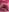 Luiza_Hammer Luiza nudes Pic