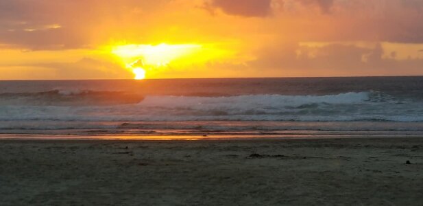 faithfulchic Flowers Pic 7