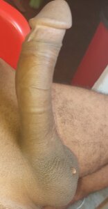 Elperpis Public Immagine 