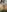 didihairypussy Nude pics Photo 3
