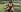 TilaTotti Masturbating Naked At The Park Pic 3