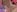 Lion_______ 24 Nov.自撮り Pic 3