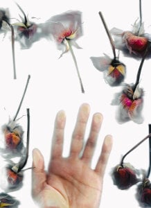 sorry-mom69 the history of flowers Pic 8