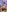 YUSELFI_ROSS_ SWEET CURVY🧁 Pic 5