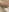 horny_baaby My push in public Foto  9
