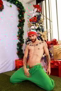 2_fire Merry christmas Pic