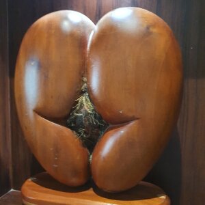 Plaisirsex14 Public Immagine 