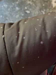 it was an incredible winter day od liana_kisses  2 snímek