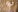 Holly_Playsweet Holly in your bed照片 3