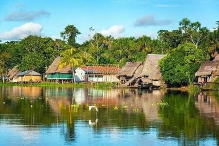 🫒🐒Next destination:Amazonas Leticia. de love_amor_ Foto 5