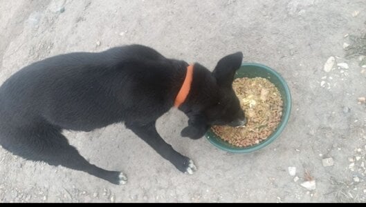 Boonny_boo_ Actions speak louder than good intentions. Pic