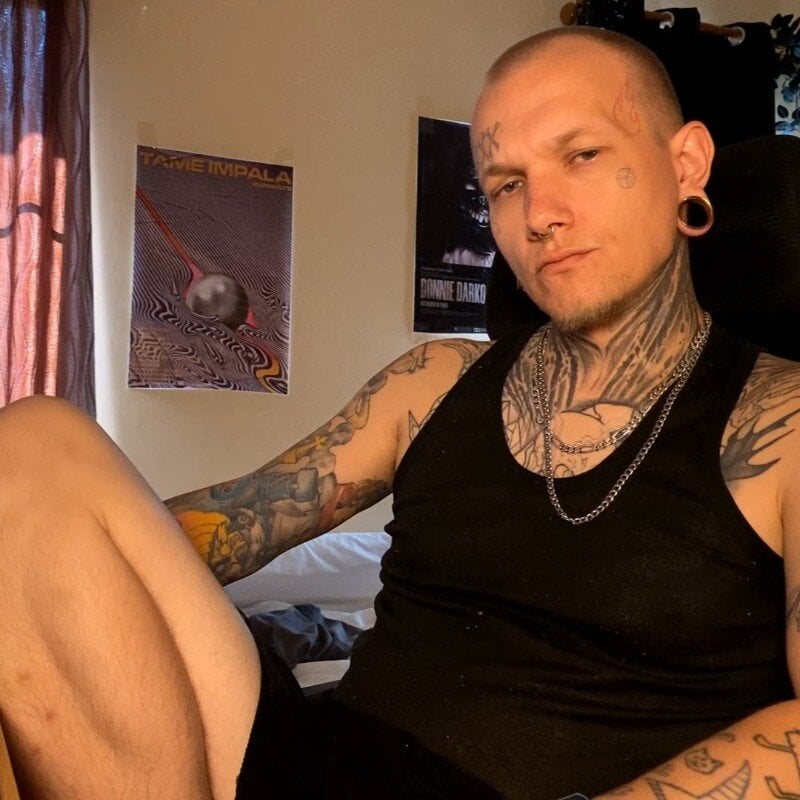 paulvelvet adlı kullanıcının viral fotoğrafları:  5393