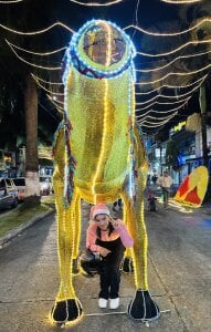 KIMMY_MONTIELL my city in december Pic 4