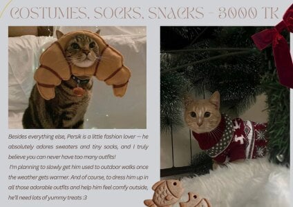 Mira_Fyre Gifts for Persik! Pic 3