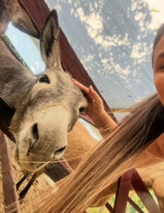 Sofia_Lopezz1 Animals ❤️ Pic 4