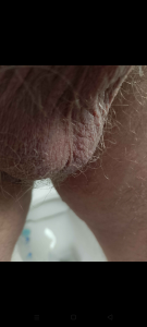 Poseidone76のPublicの 4枚の写真