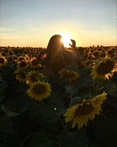 colla_white Public зображення 4