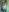 Sherry_Lady_I love dick :D照片 5