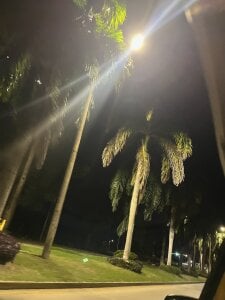 Sam_Sara Caribbean at Christmas 💚🥥 Photo 8