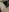 Sweettalexxia19Only my pussy照片 9