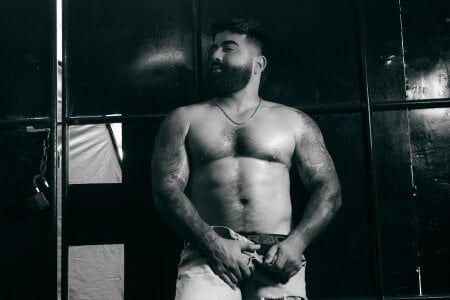 Lyon_vach Hairy sexy man Kuva 2