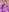 katt__y Fanclub #1 Pic 6