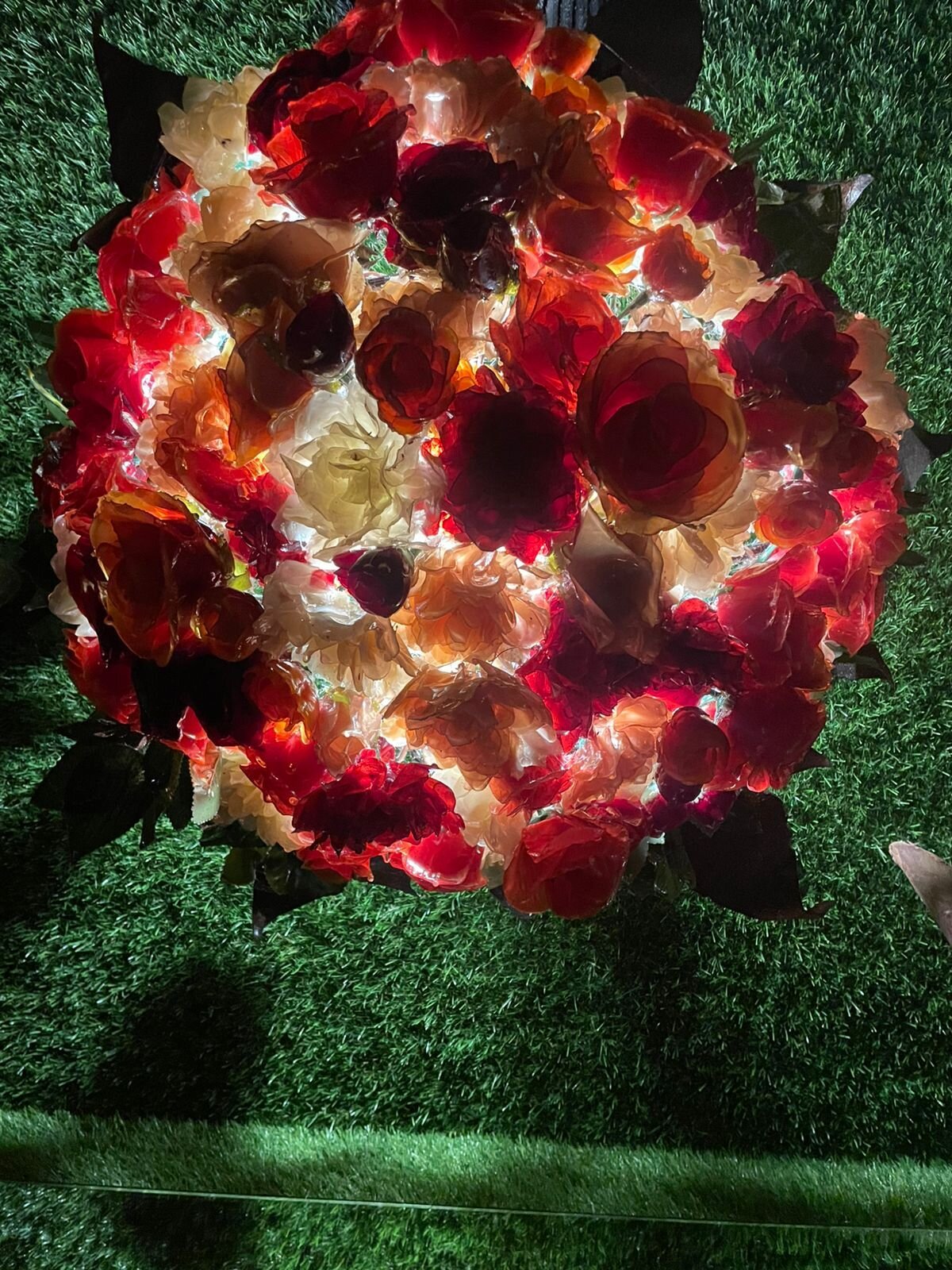 Romeocolin Foto en Tendencia 2169