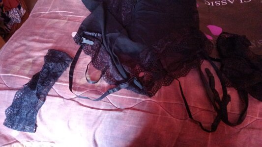 ChasingSprite Public Pic 2