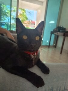 chunn_liioo My facts🤩😸 Pic 2