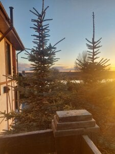 MelissaMays 😍 Immagine  3