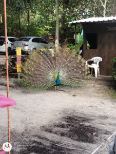 marciobolt123のPublicの 4枚の写真