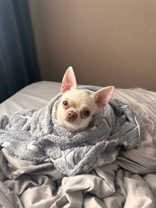 LaveraMelingLife in everyday life Bild 5