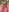 SexyyEvelyncowgirl 🐱‍💻照片