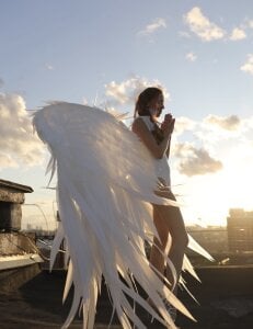 angelicfenix Public รูป 