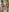 Dajla erotic pictures Pic 8
