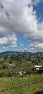 Paradisse_ Ela✨ صورة واحدة|Paradisse_ Ela✨ صورتان|Paradisse_ Ela✨  5 صور|Paradisse_ Ela✨  5 صورة