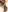 MistressMilfa Heal Heaven (VIP) 사진 7