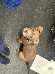 mariianebabePublic图片