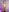 Andy_Gamboa Andy NUDE🔥 Pic 6