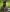 tentacion696 Puro morbo Photo 4