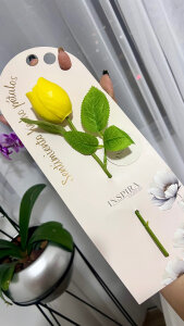 Elyross1_ Details 🤍🎀 Pic 5